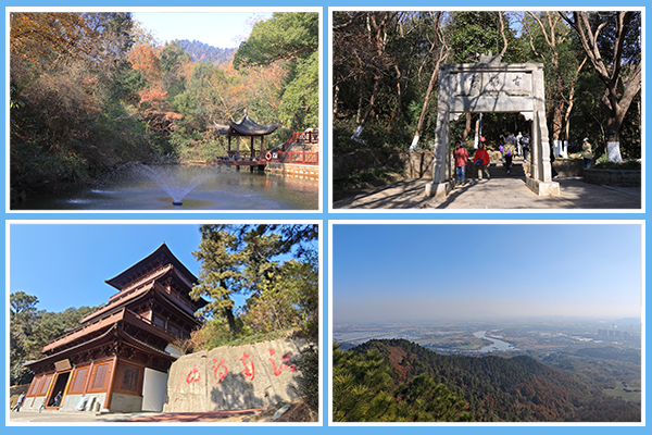 1765957370882010.png 圖片1(5).png